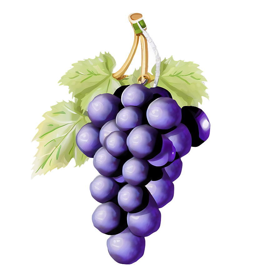 Single Grape Png 77 PNG image