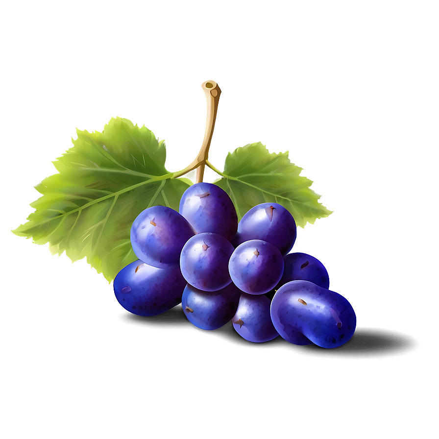 Single Grape Png Hrr PNG image