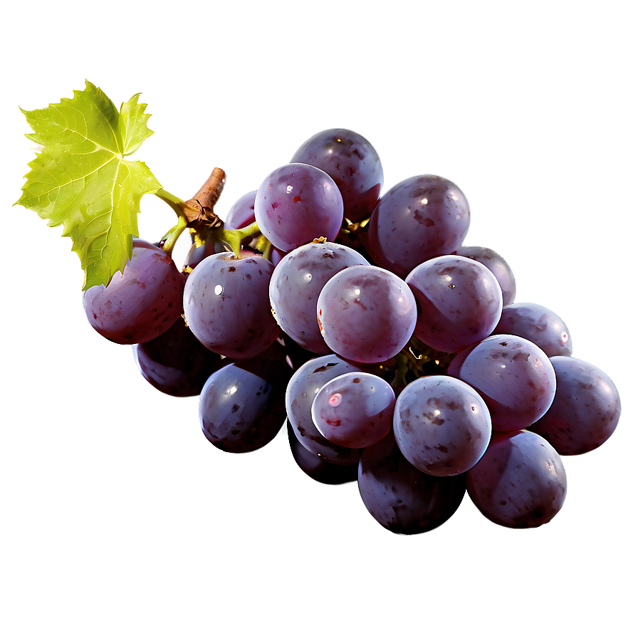Single Grape Side View Png Fll PNG image