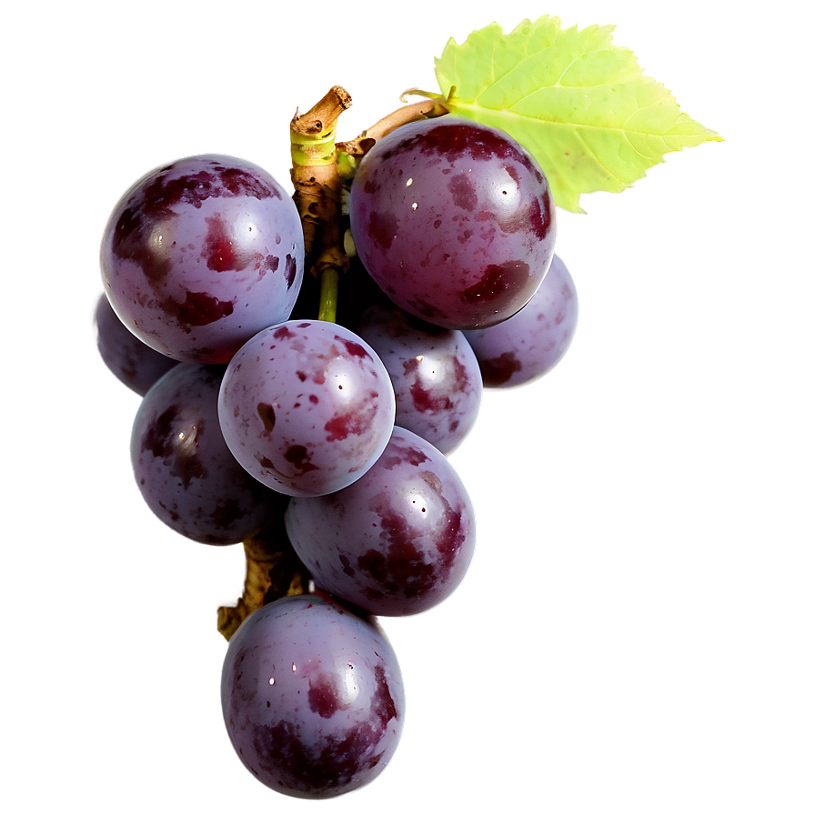 Single Grape Top View Png 6 PNG image