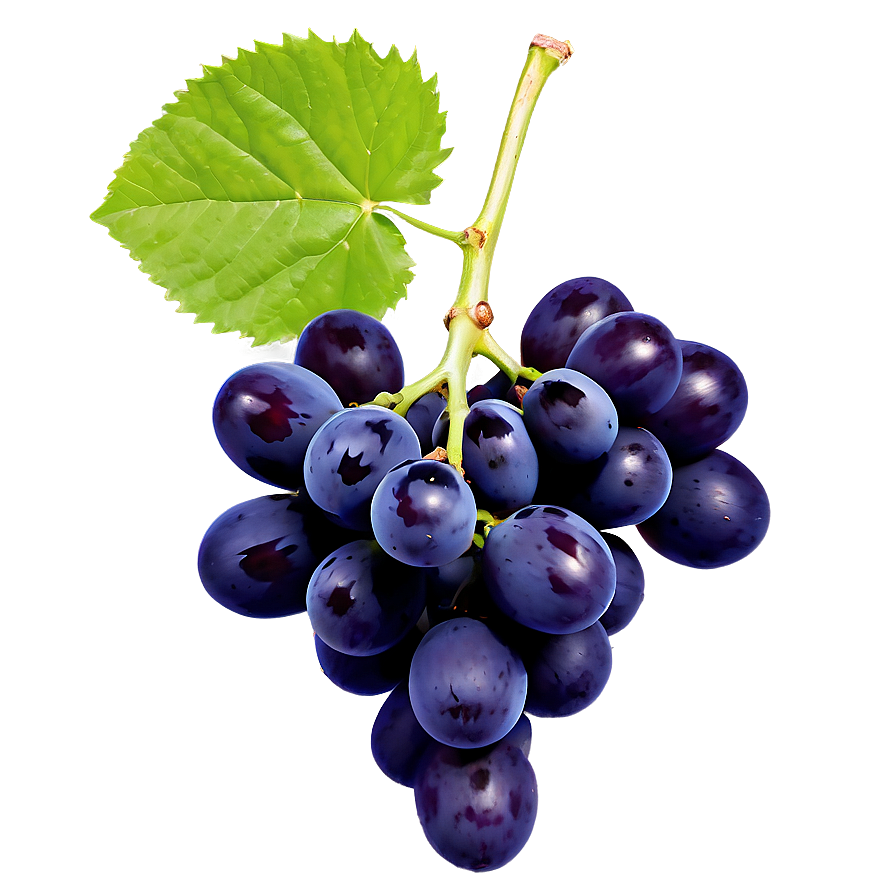 Single Grape Top View Png Mew PNG image