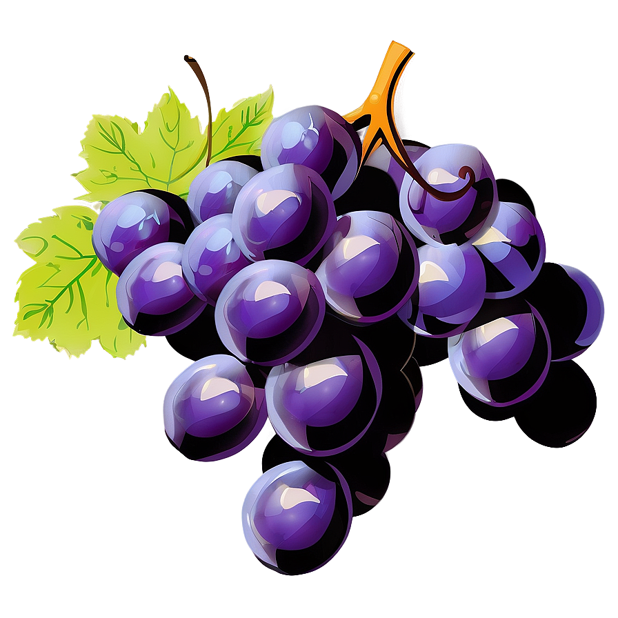 Single Grape Vector Png 06292024 PNG image