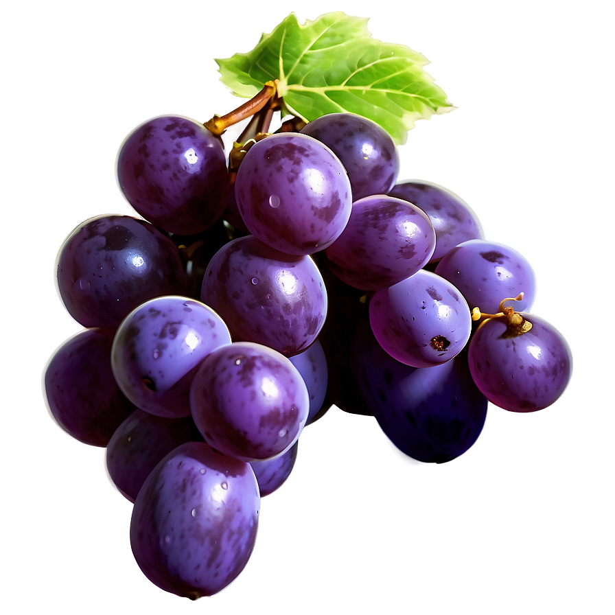 Single Grape With Detail Png 93 PNG image