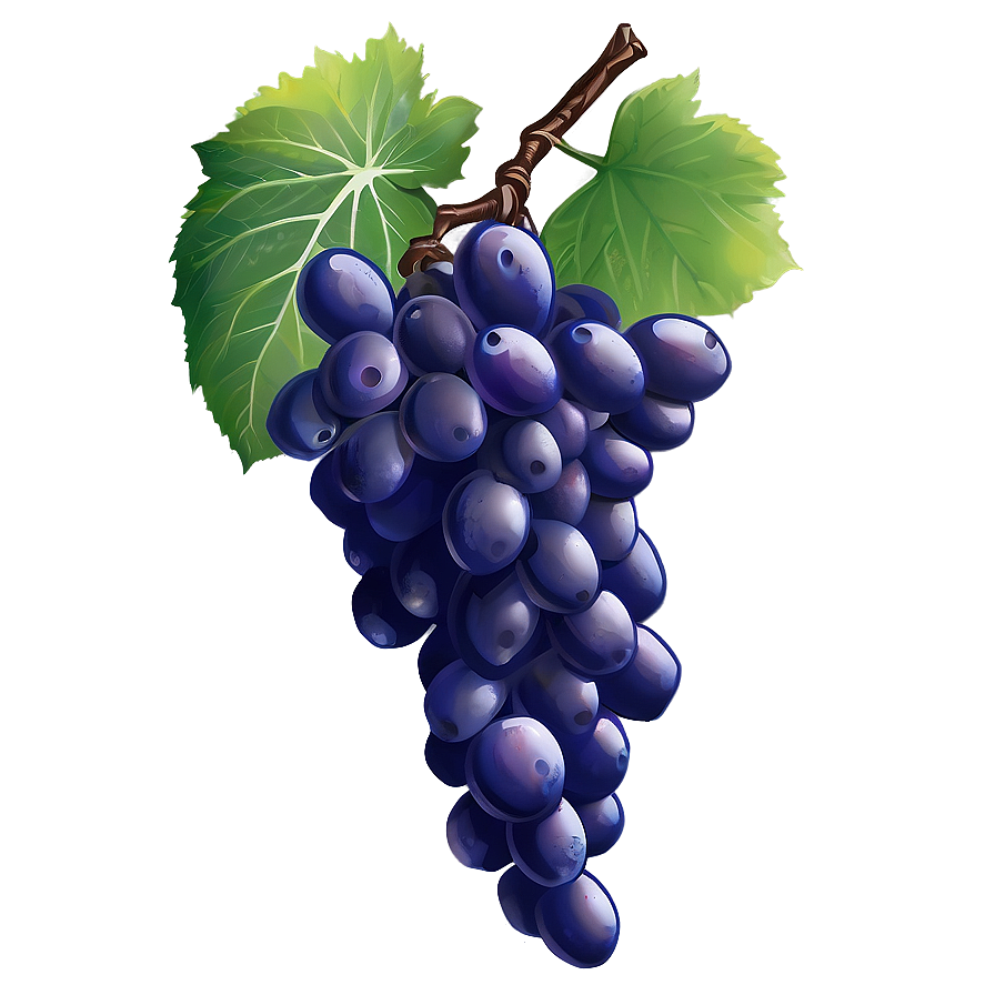 Single Grape With Detail Png Jpk PNG image