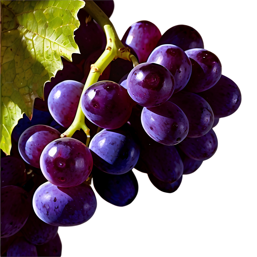 Single Grape With Detail Png Shy57 PNG image