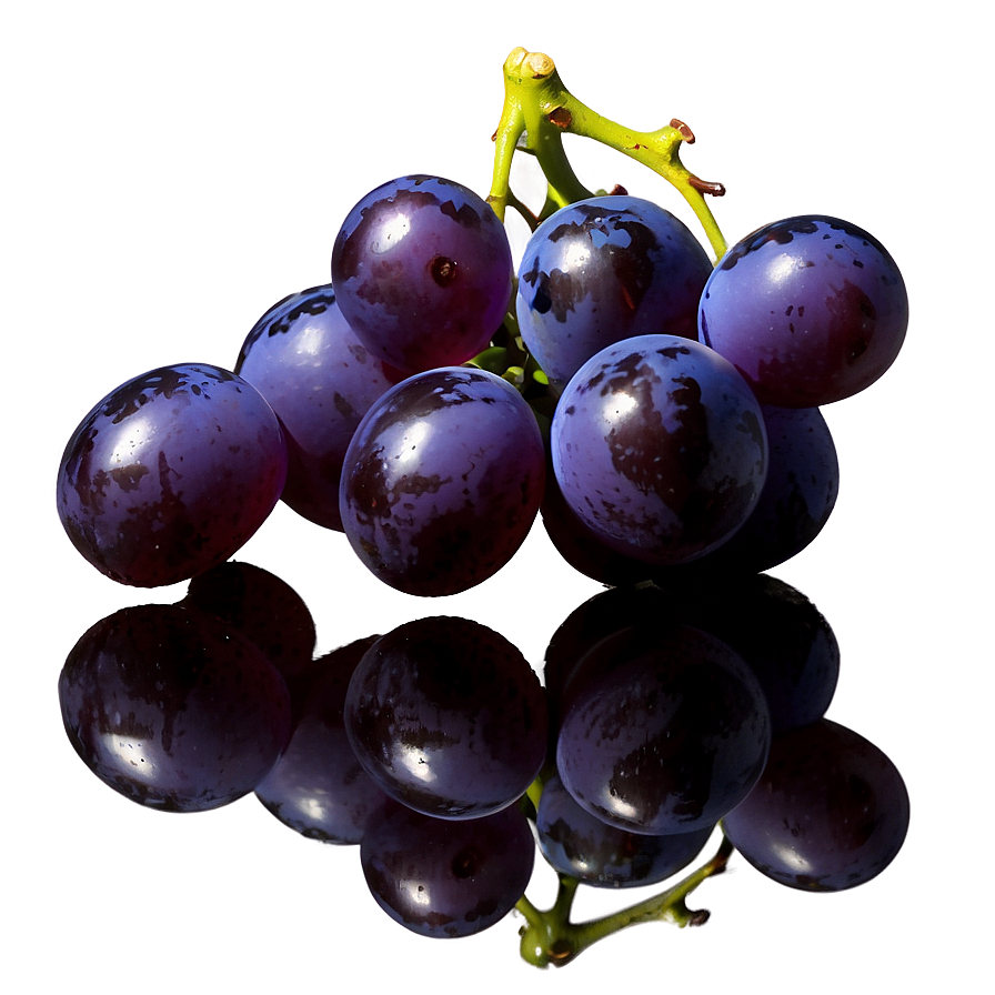 Single Grape With Reflection Png Ewy PNG image