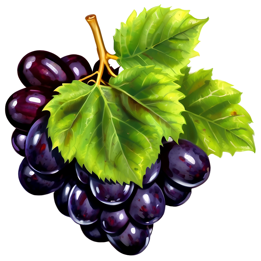 Single Grape With Reflection Png Rfm PNG image