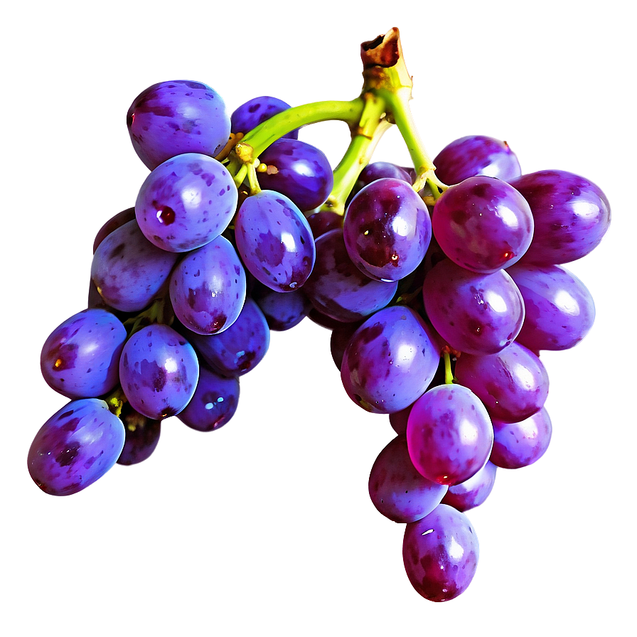Single Grape With Stem Png Egw89 PNG image