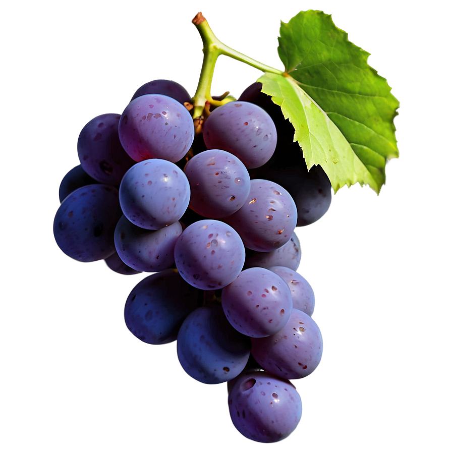 Single Juicy Grape Png 06292024 PNG image