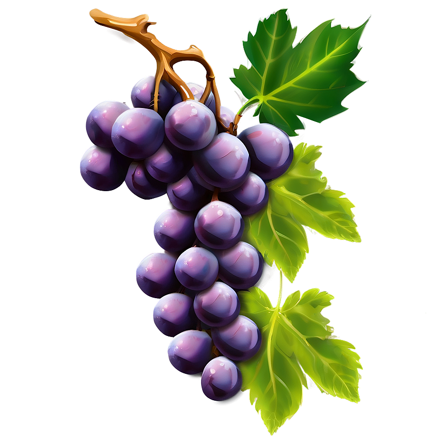 Single Juicy Grape Png 06292024 PNG image