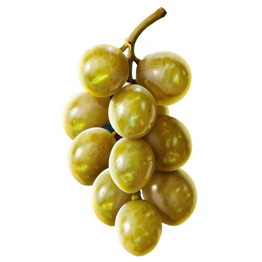 Single Juicy Grape Png Tyr PNG image