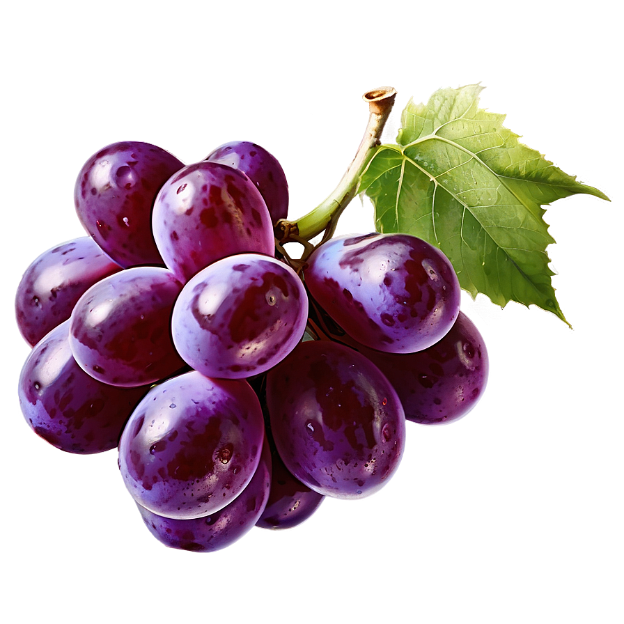 Single Juicy Grape Png Tyu PNG image