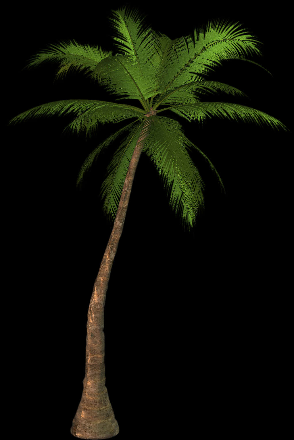 Single Palm Tree Black Background PNG image