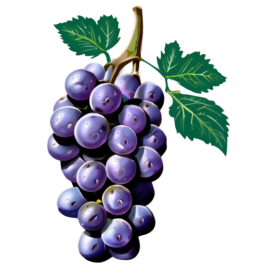 Single Purple Grape Png 06292024 PNG image