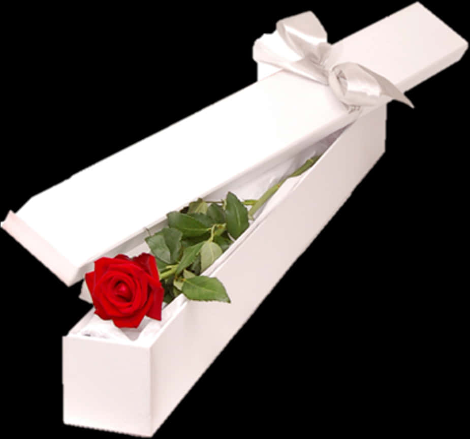 Single Red Rosein Gift Box PNG image