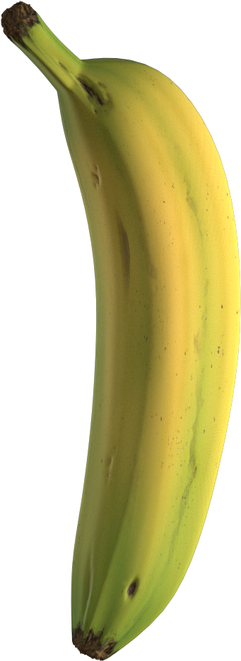 Single Ripe Banana Isolated PNG image