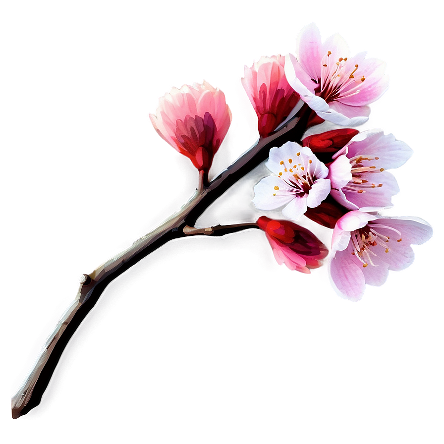 Single Sakura Blossom Png 46 PNG image