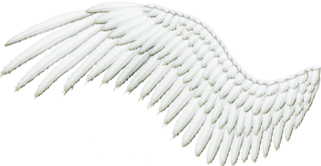 Single White Angel Wing PNG image