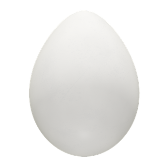 Single White Eggon Black Background PNG image