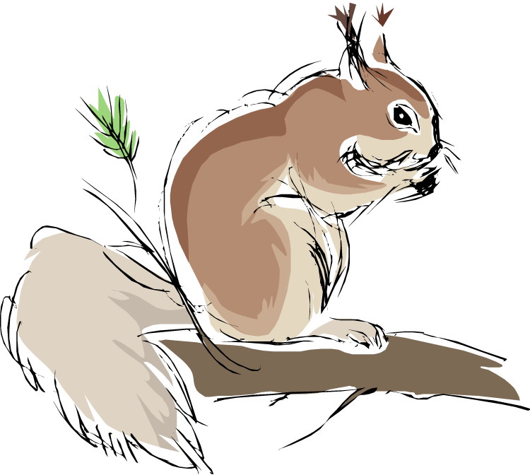 Sketch_of_ Squirrel_on_ Branch.png PNG image