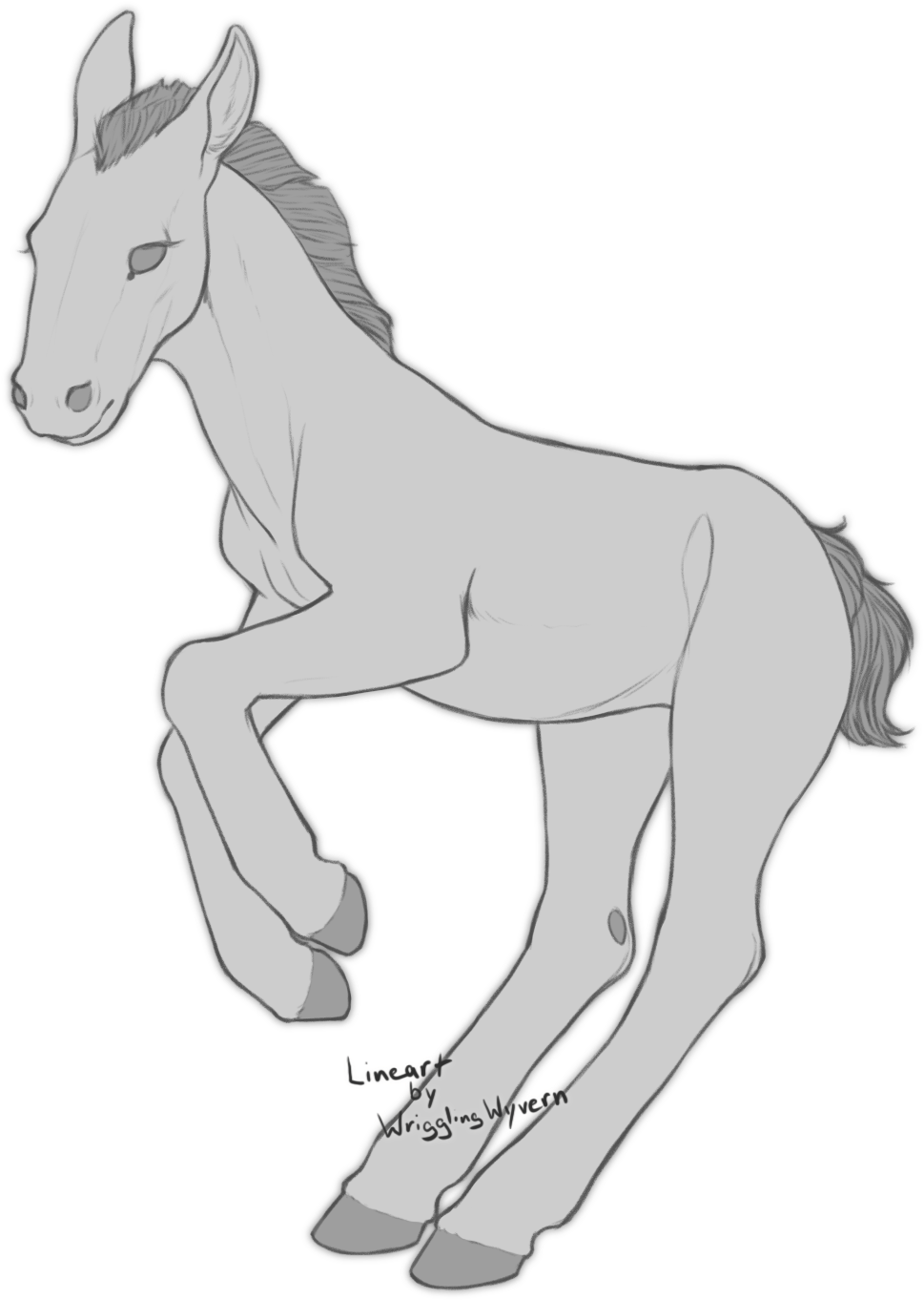 Sketch_of_ Young_ Horse_ Foal PNG image