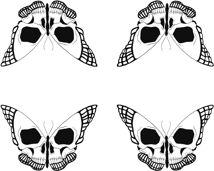 Skull Butterfly Pattern PNG image