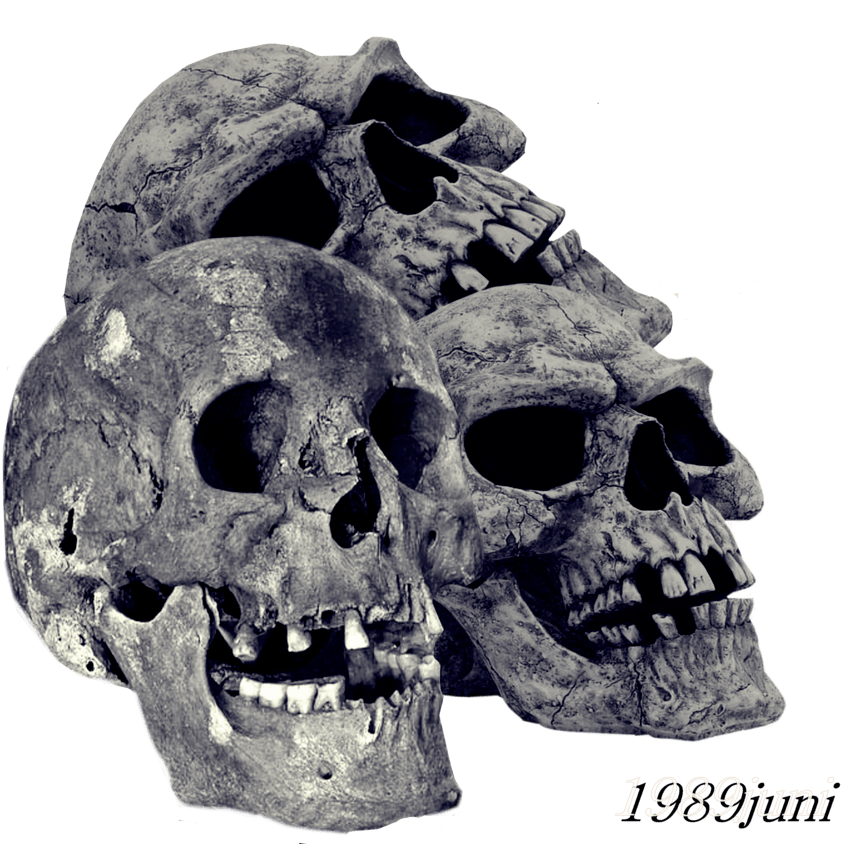 Skull Montage Art1989juni PNG image