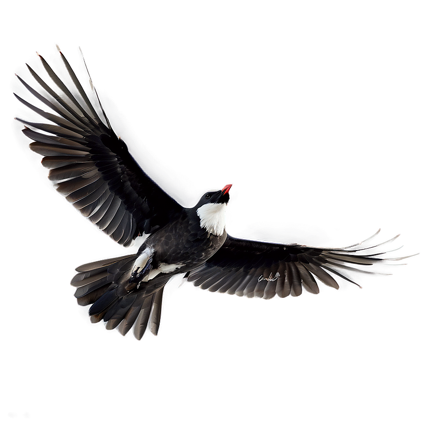 Skyward Bird Flight Png Vtv12 PNG image