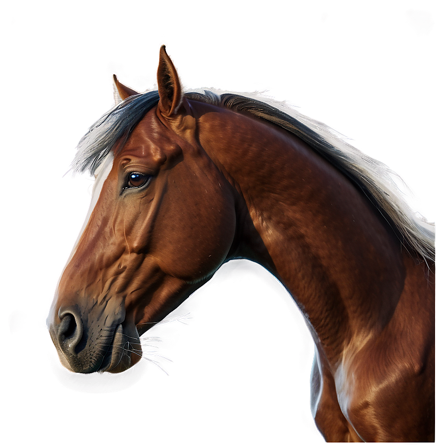 Sleek Horse Head Curvature Png 06122024 PNG image