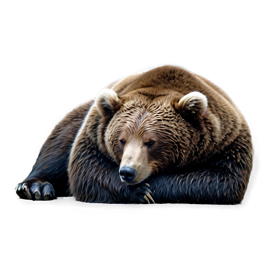 Sleeping Bear Png 78 PNG image