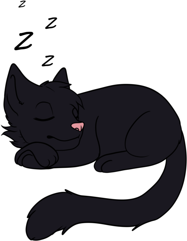 Sleeping Black Cat Cartoon PNG image