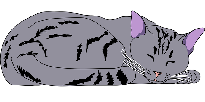 Sleeping Black Cat Illustration PNG image