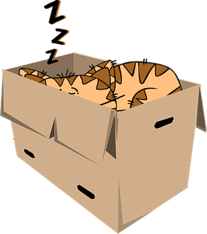 Sleeping Catin Cardboard Box PNG image