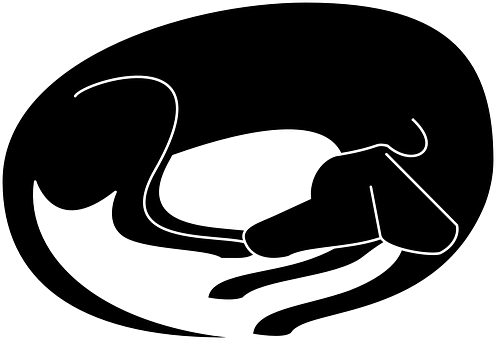 Sleeping Dog Silhouette Outline.jpg PNG image