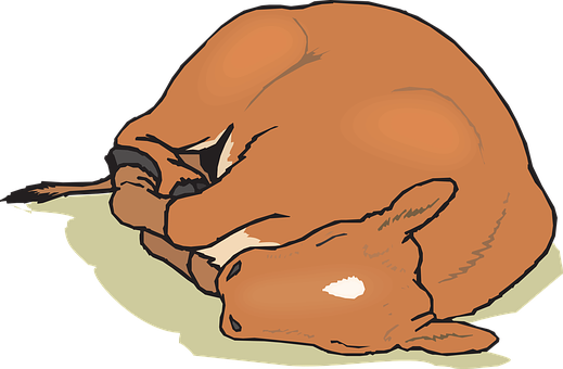 Sleeping Fawn Illustration PNG image