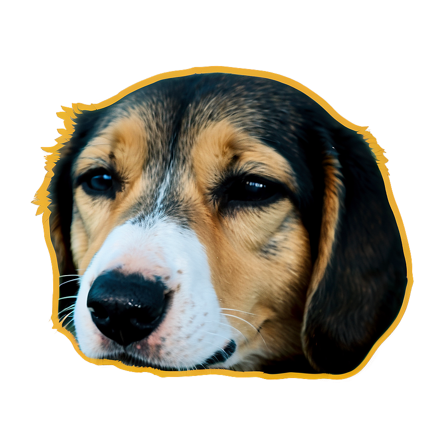 Sleepy Dog Transparent Png Joh15 PNG image