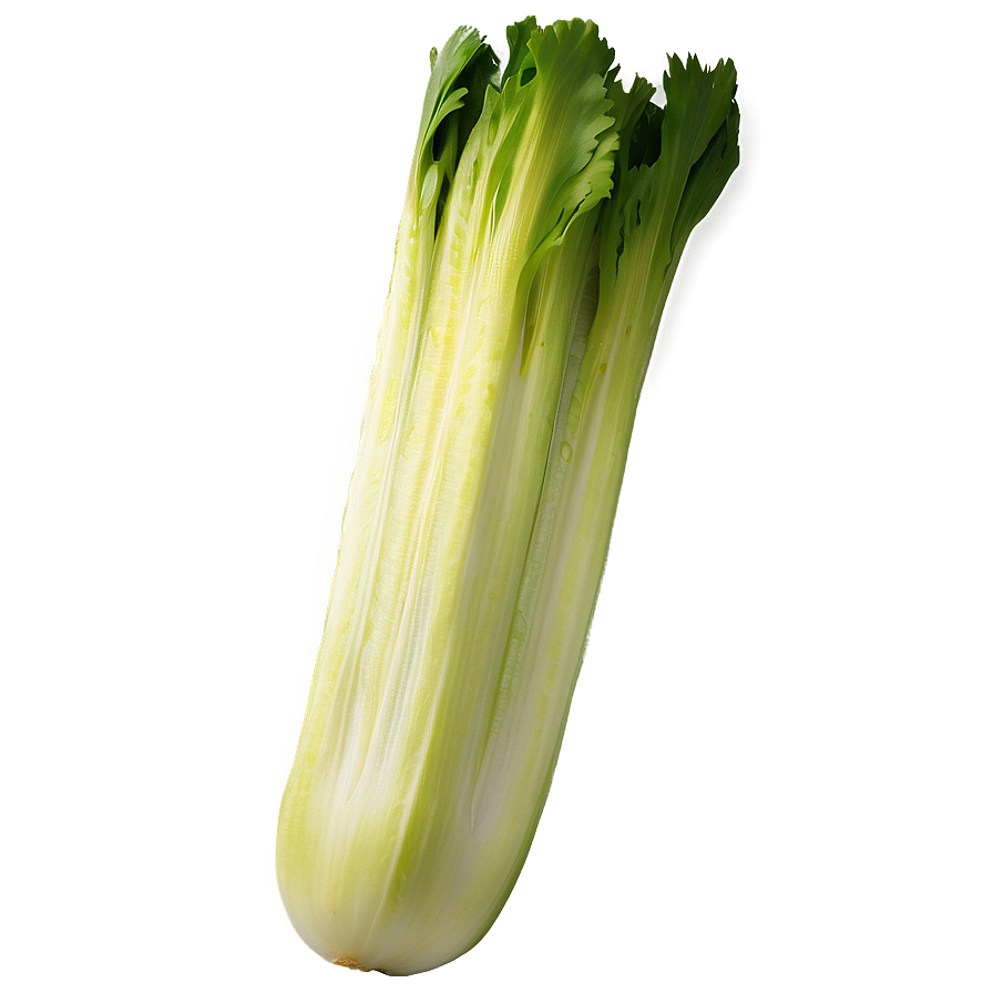 Sliced Celery Png 06252024 PNG image