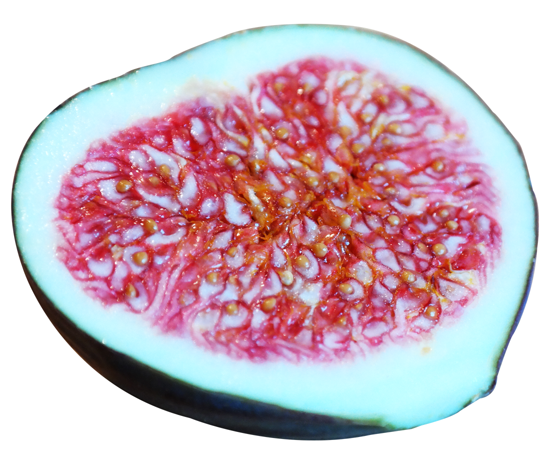 Sliced Fig Cross Section PNG image