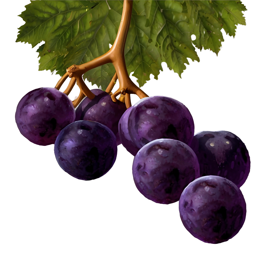 Sliced Grape Png 66 PNG image