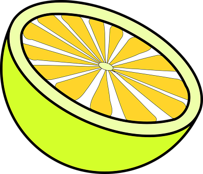 Sliced Lemon Vector Illustration PNG image