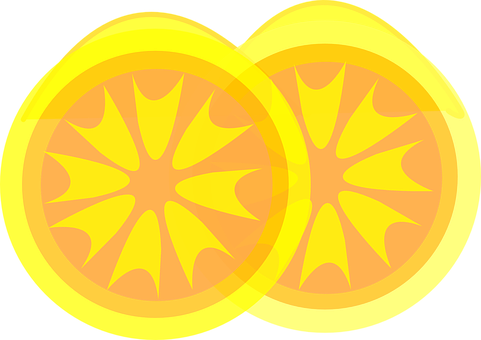 Sliced Lemon Vector Illustration PNG image