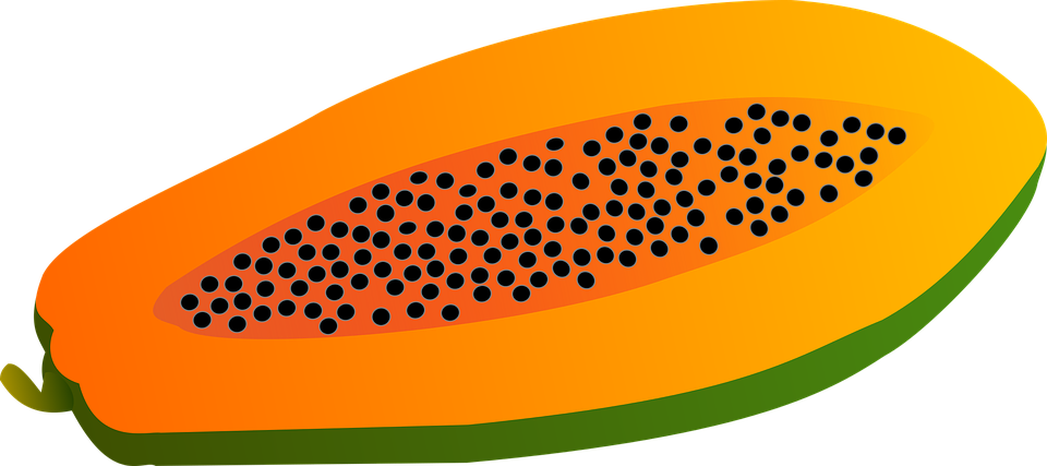 Sliced Papaya Vector Illustration PNG image