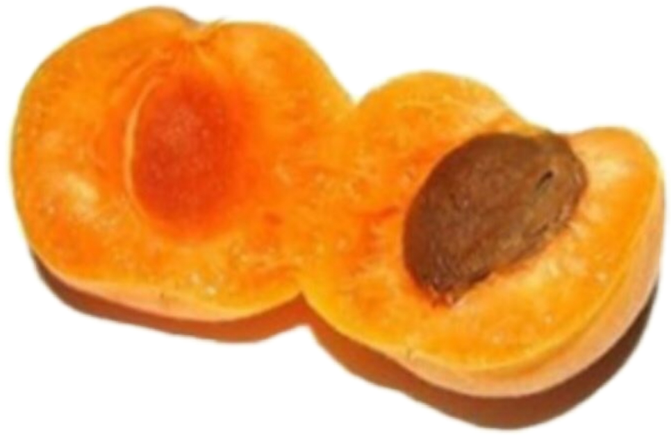 Sliced Peach Halfwith Pit.png PNG image