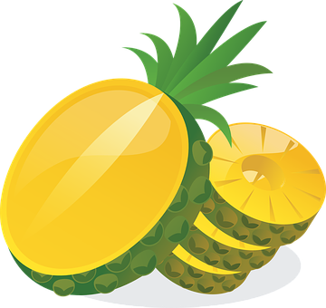 Sliced Pineapple Vector Illustration PNG image