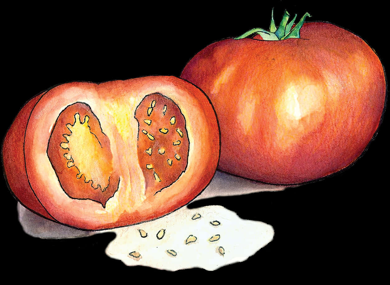 Sliced Tomato Watercolor Illustration PNG image