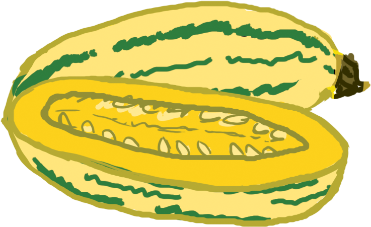 Sliced Yellow Zucchini Illustration PNG image