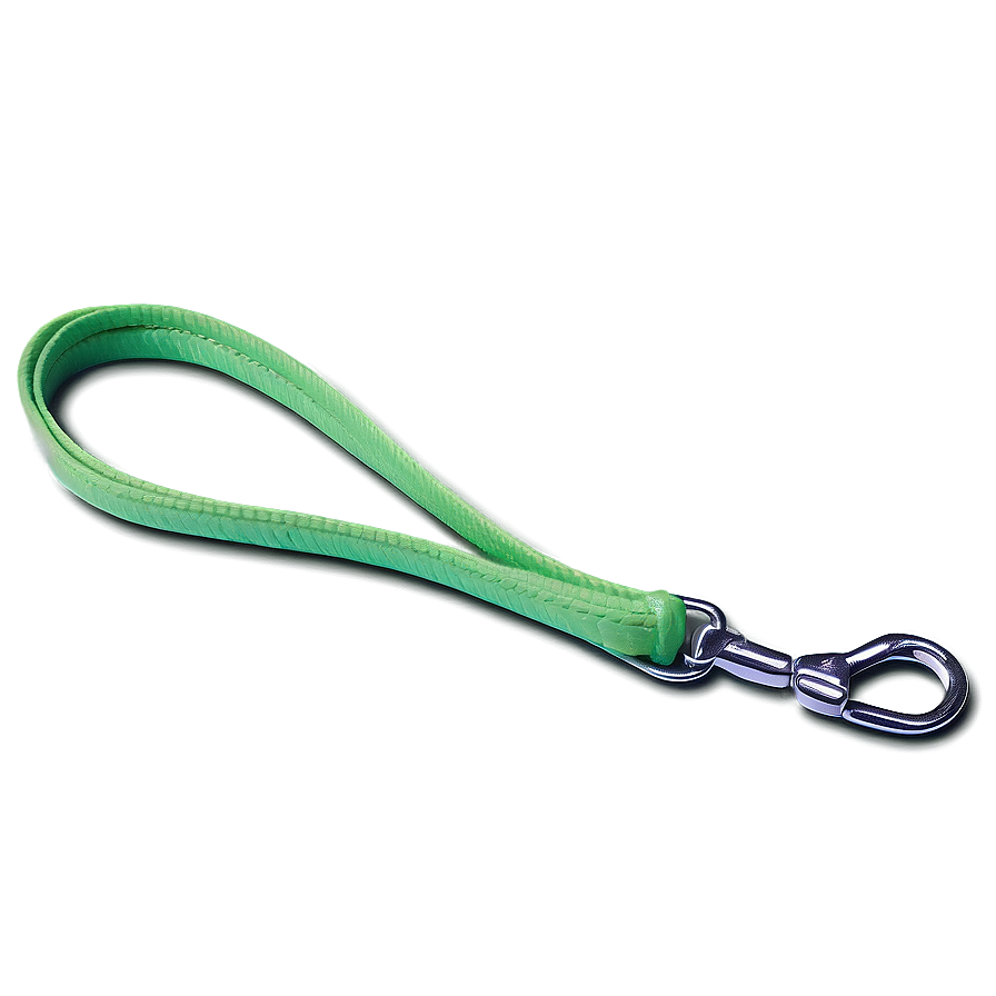 Slip Dog Leash Png Yfb PNG image