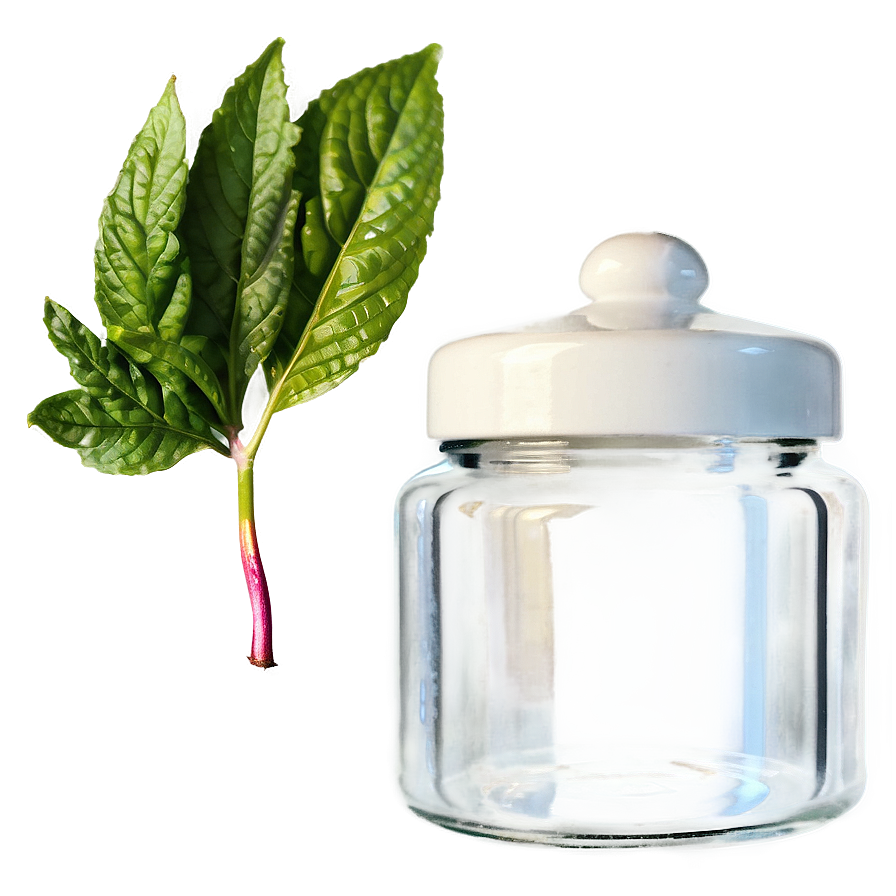 Small Glass Jar Png Tpd65 PNG image