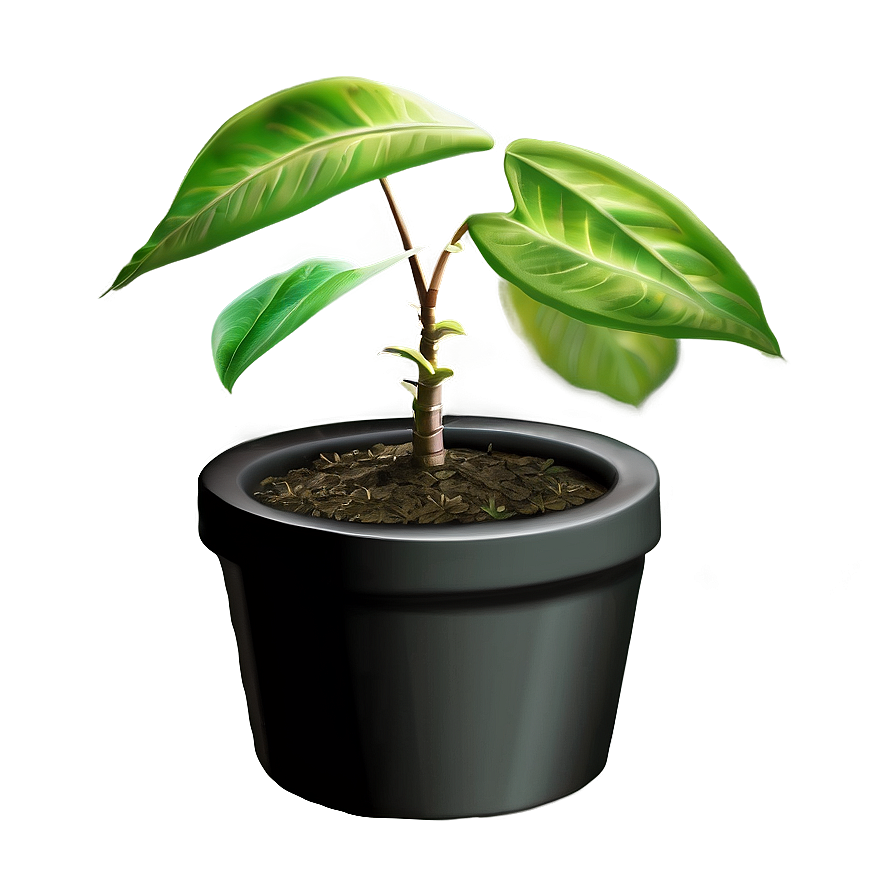 Small Plant D PNG image