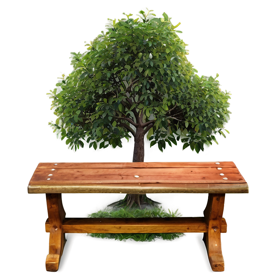 Small Tree With Bench Png 06132024 PNG image